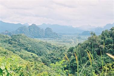 11 Thailand 2002 F1060024 Khao Lak Ausflug Khao Sok_478